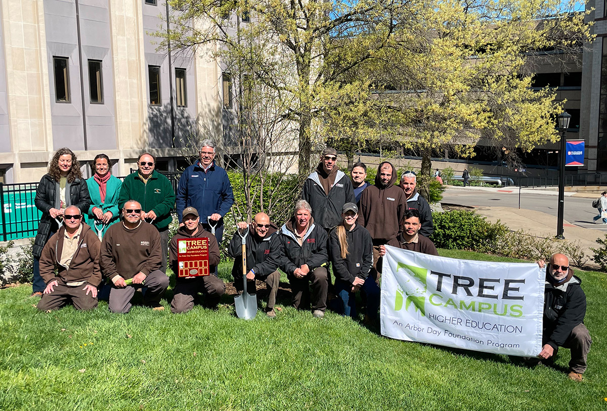 photo of group for tree planing