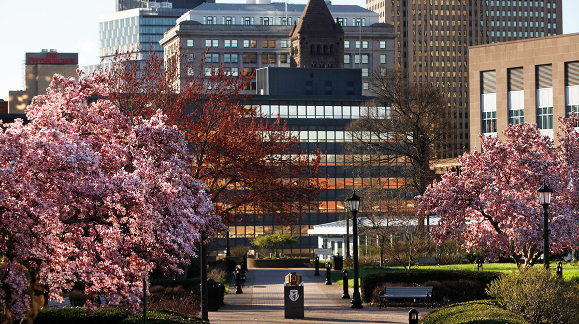 Spring flowering trees and downtown Pittsburgh