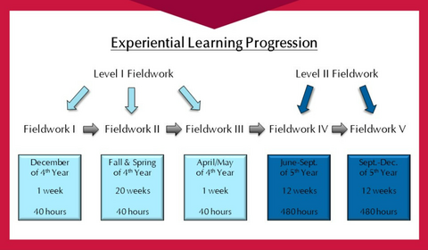 Graphic which shows the progression of each stage of fieldwork.