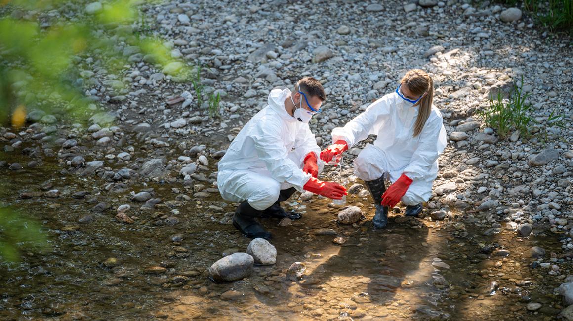 Students research in stream