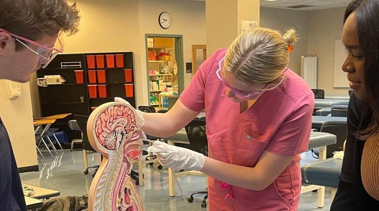 Professor teaching atudents on an anatomy model