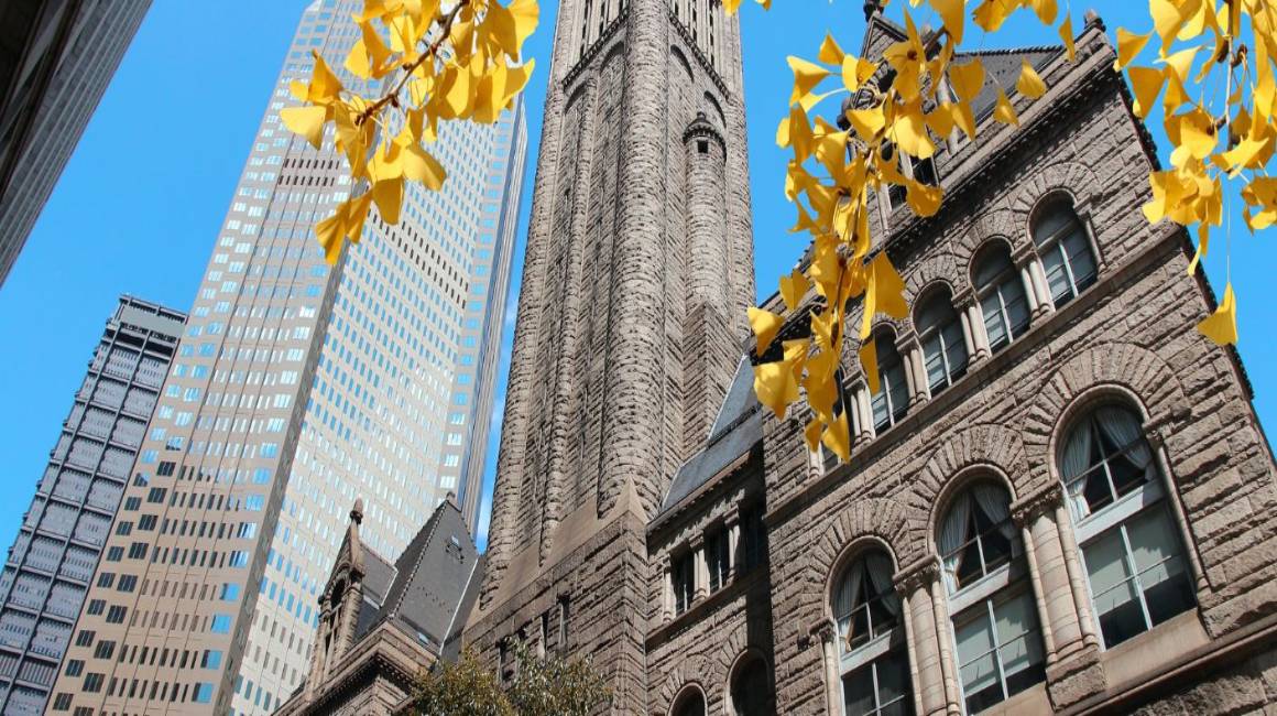 Pittsburgh City Buildings with fall leaves