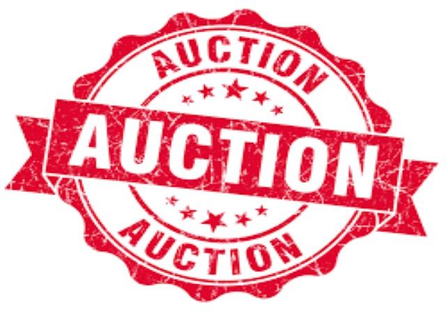 image of an auction logo