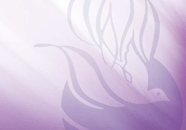 Holy Spirit graphic