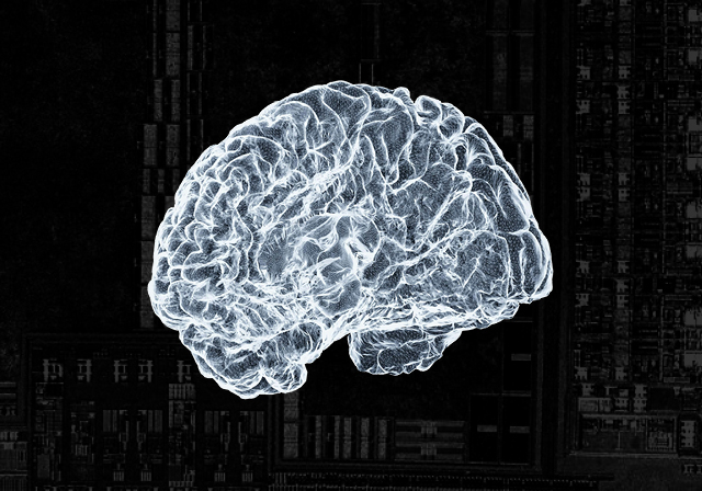 Graphic featuring a white illustration of a human brain situated on top of a black background with a faded circuit board.