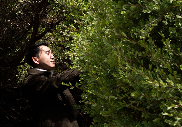 A person in a dark coat looks upward through dense green foliage as sunlight filters across his face.