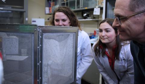 bachelor of science in biological sciences
