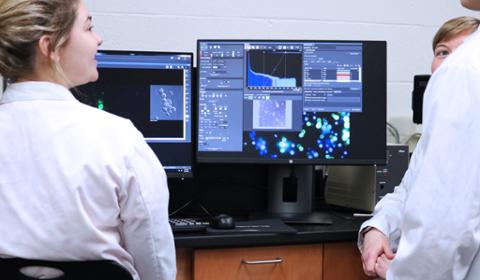 biology honors program