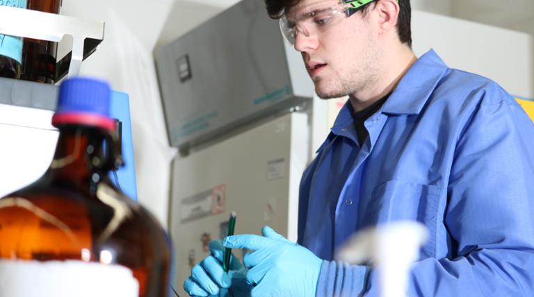 Undergraduate students doing research in the lab