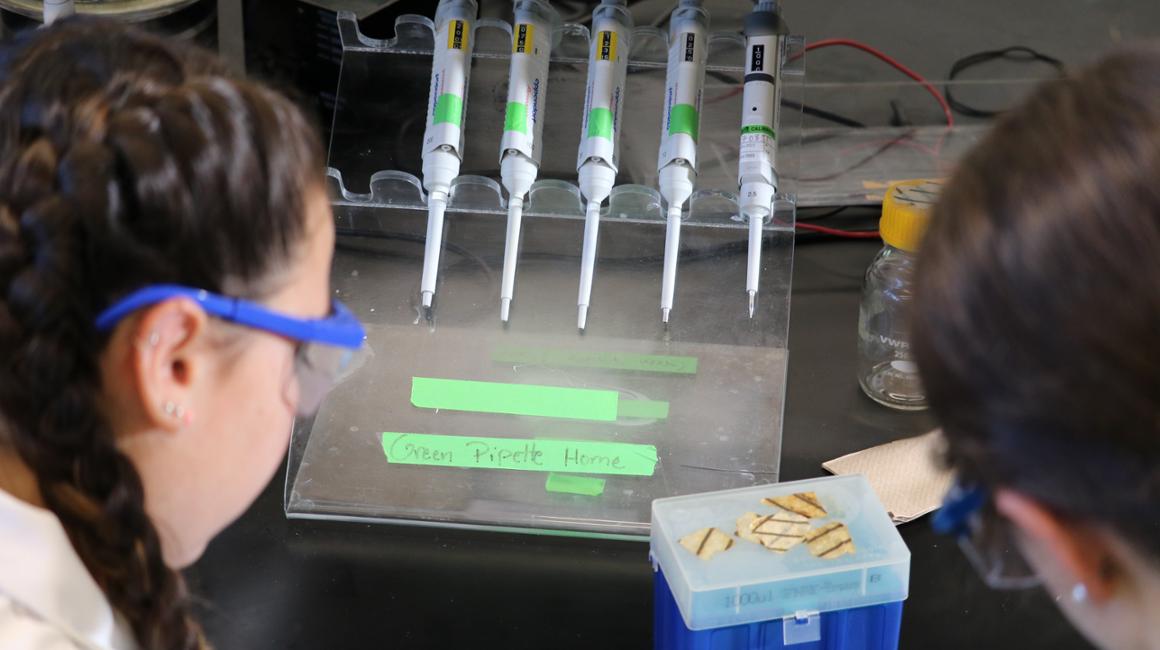 student in lab