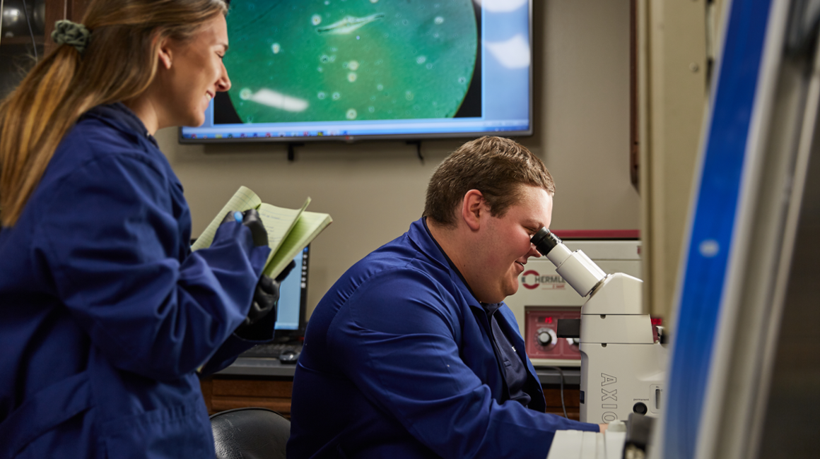 biomedical engineering students doing research