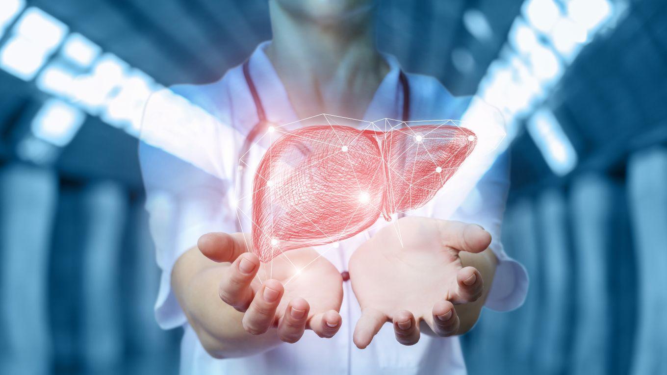 person holding a heart
