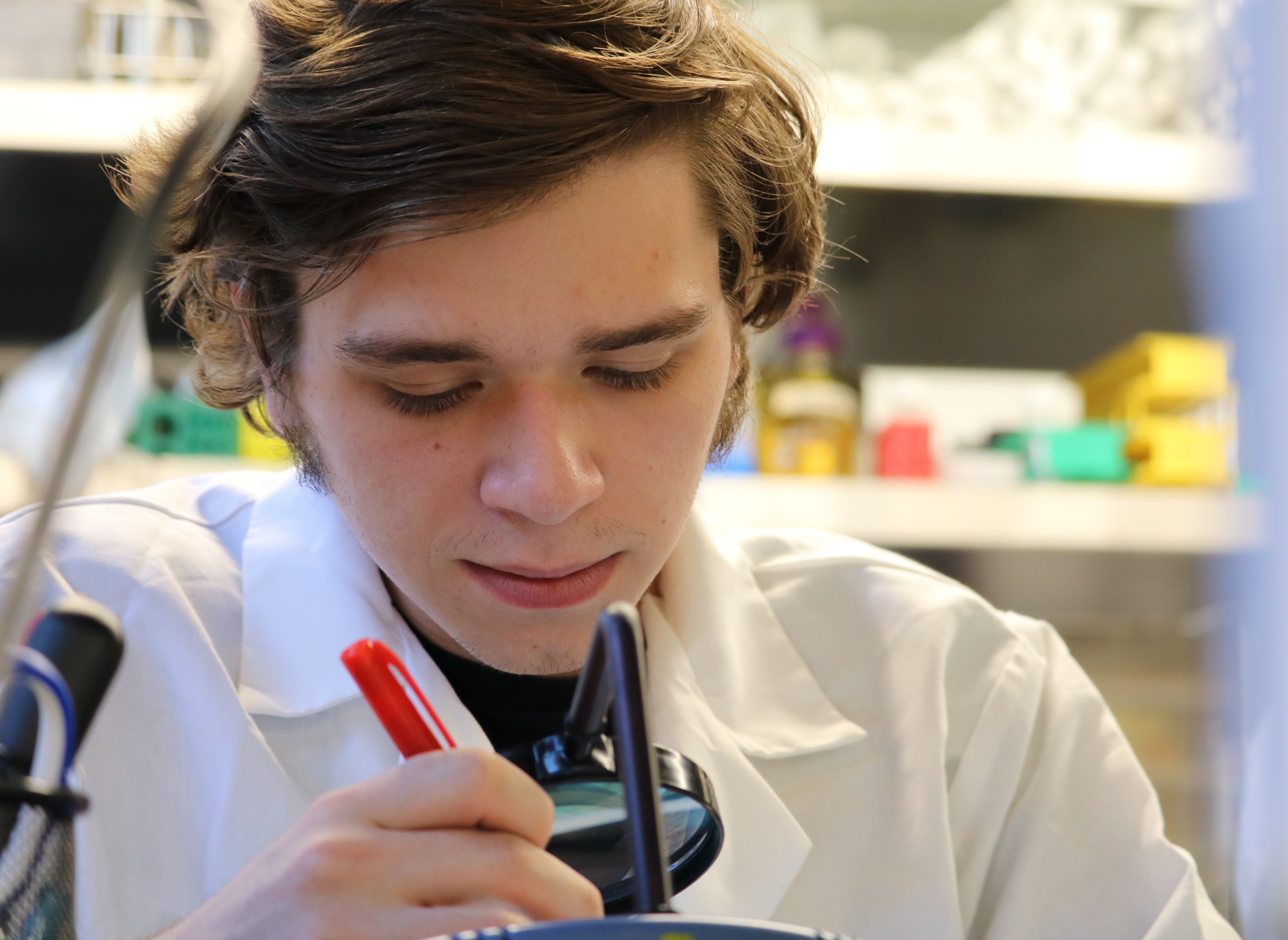 bachelor of science in biological sciences