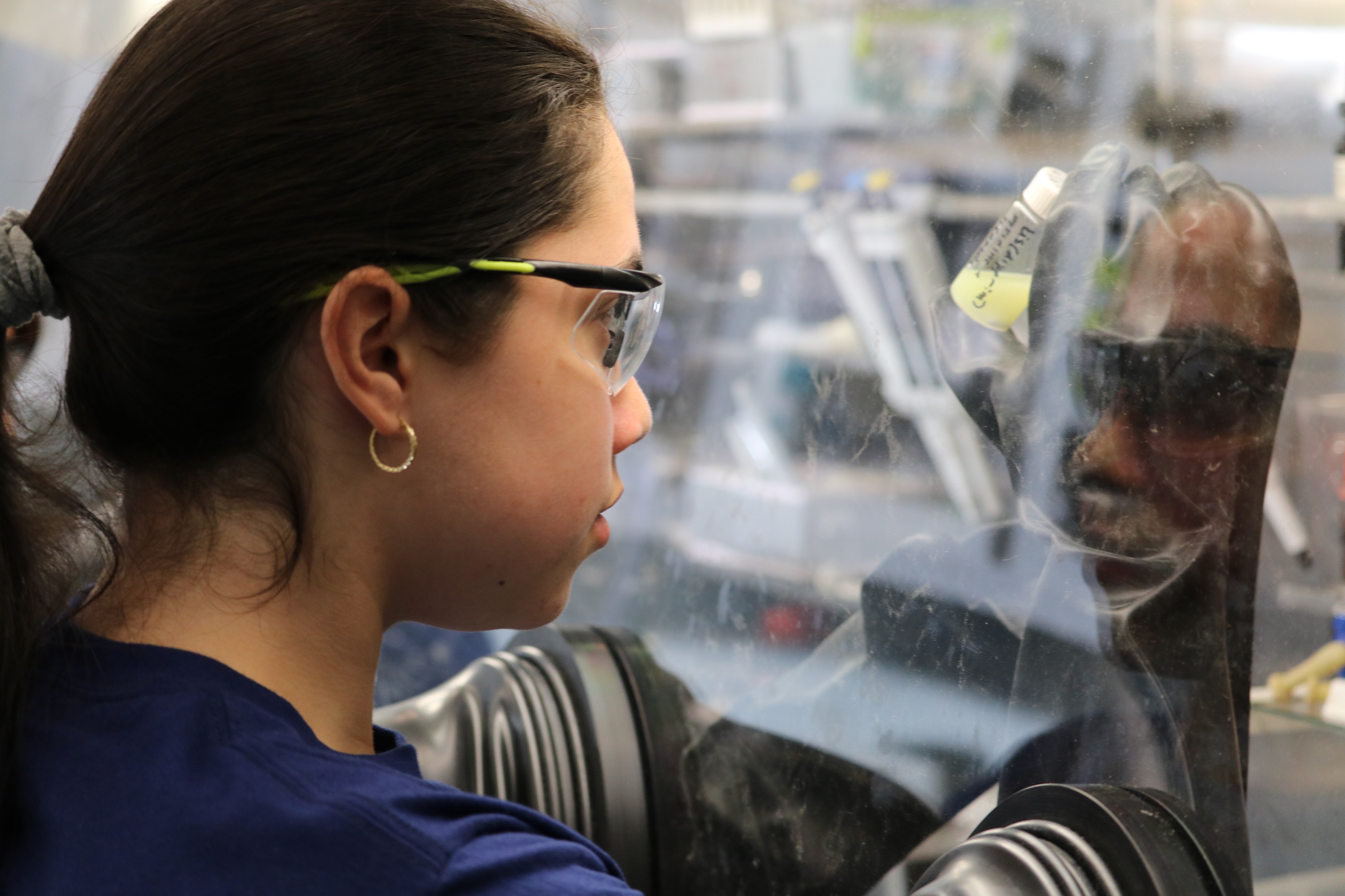 Science students working in lab