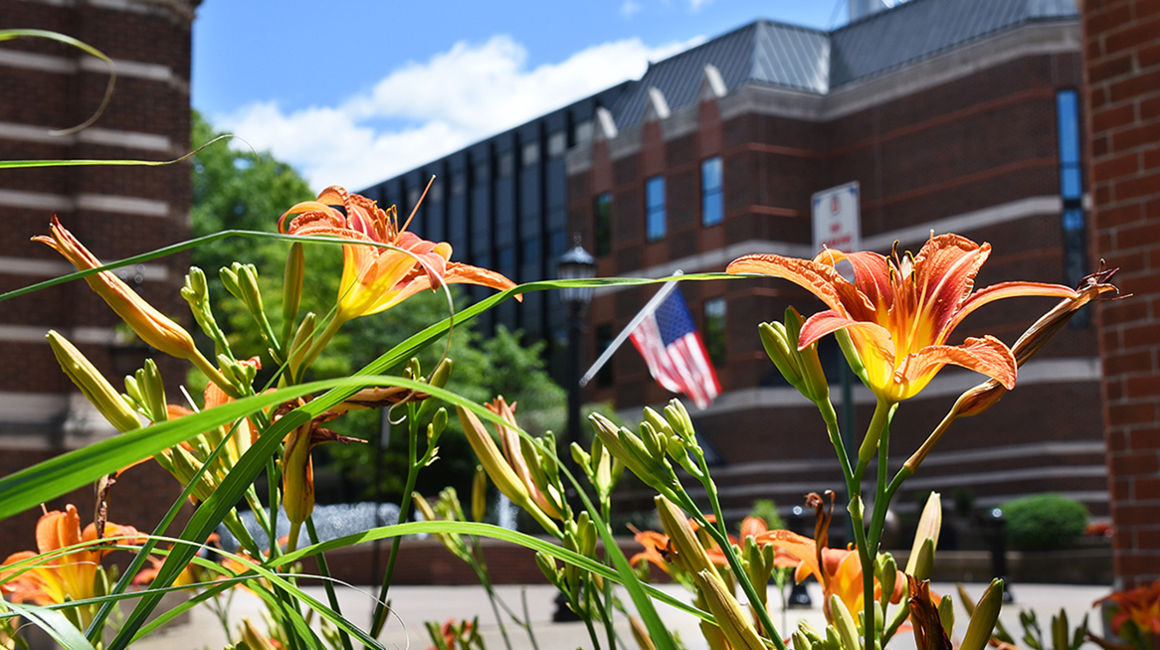 flowers on campus