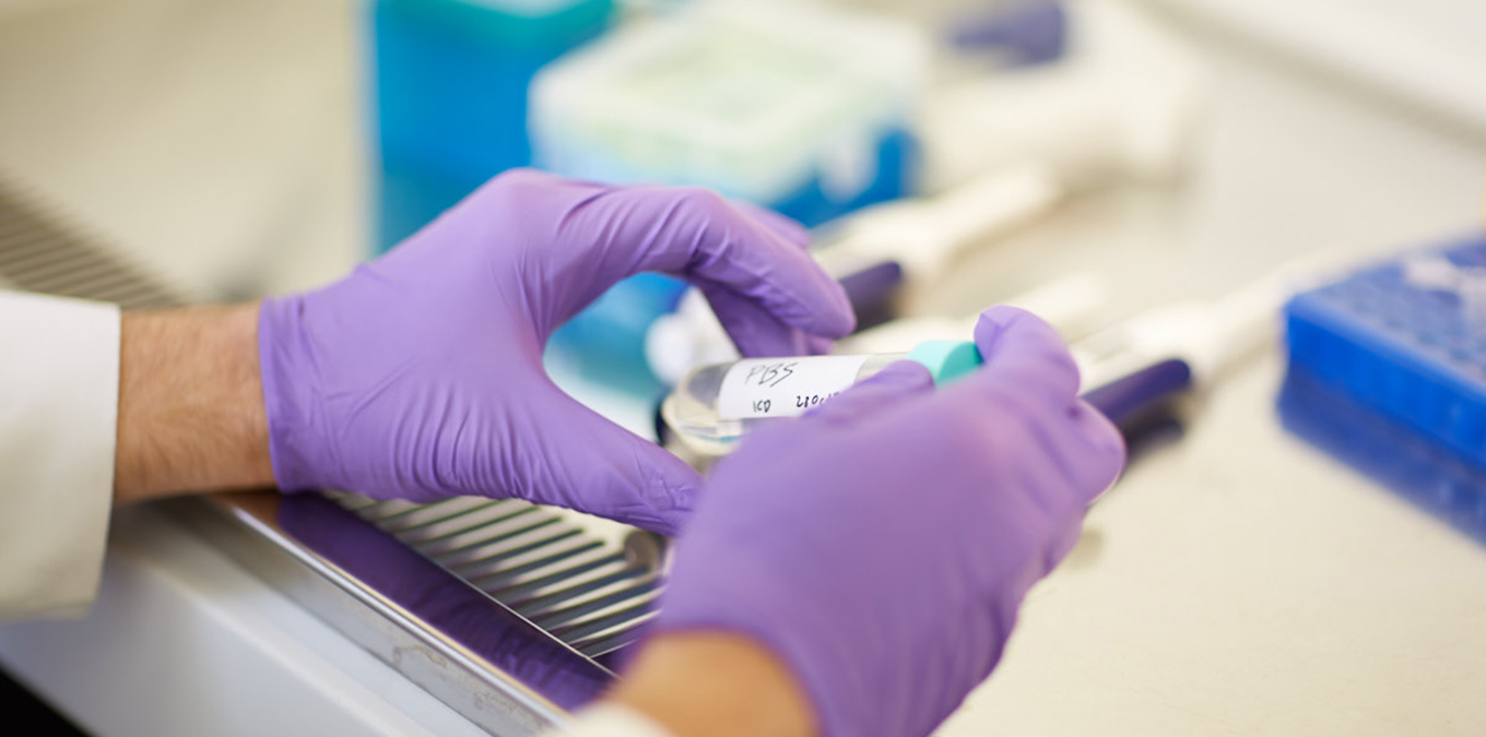 Hands working in a lab hood