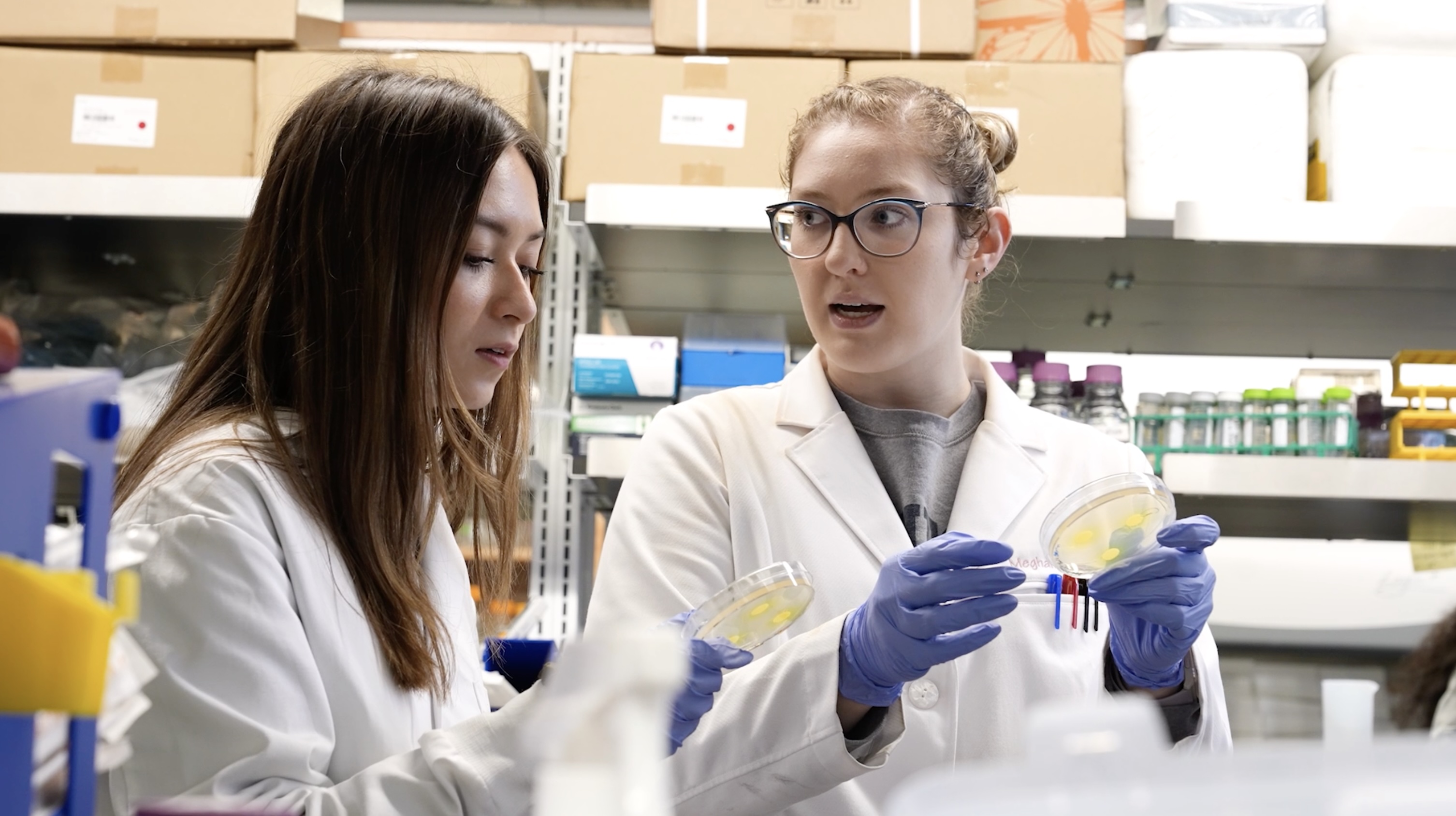 a girl in a blue sweatshirt sitting in a lab