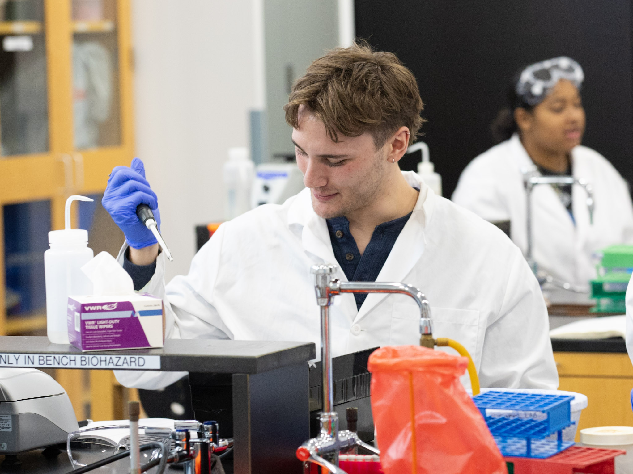 bachelor of science in biological sciences 