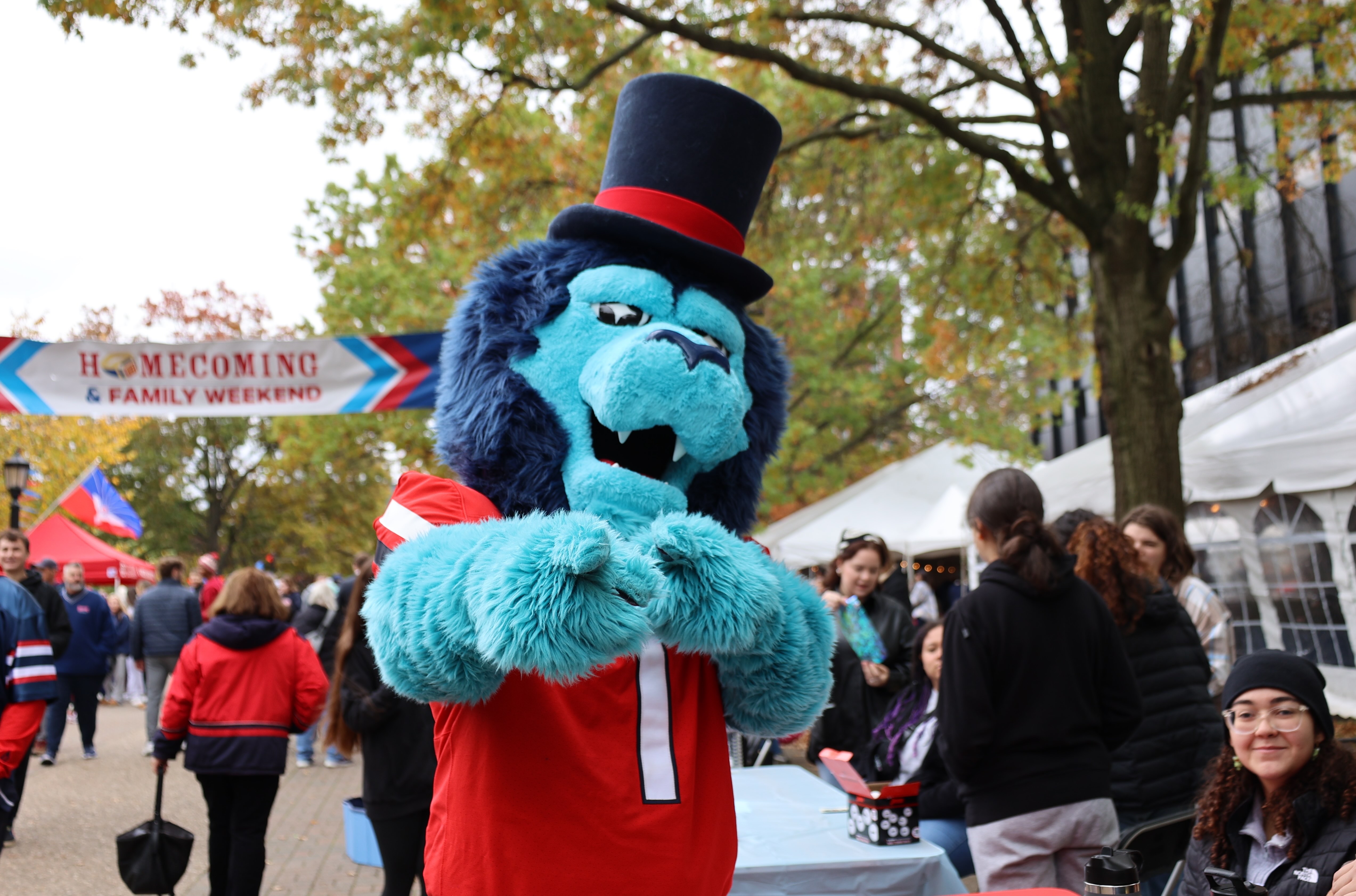 a mascot 