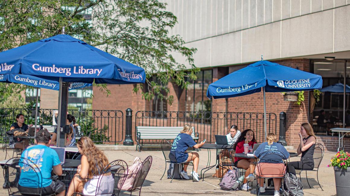 Students studying outside in the summer