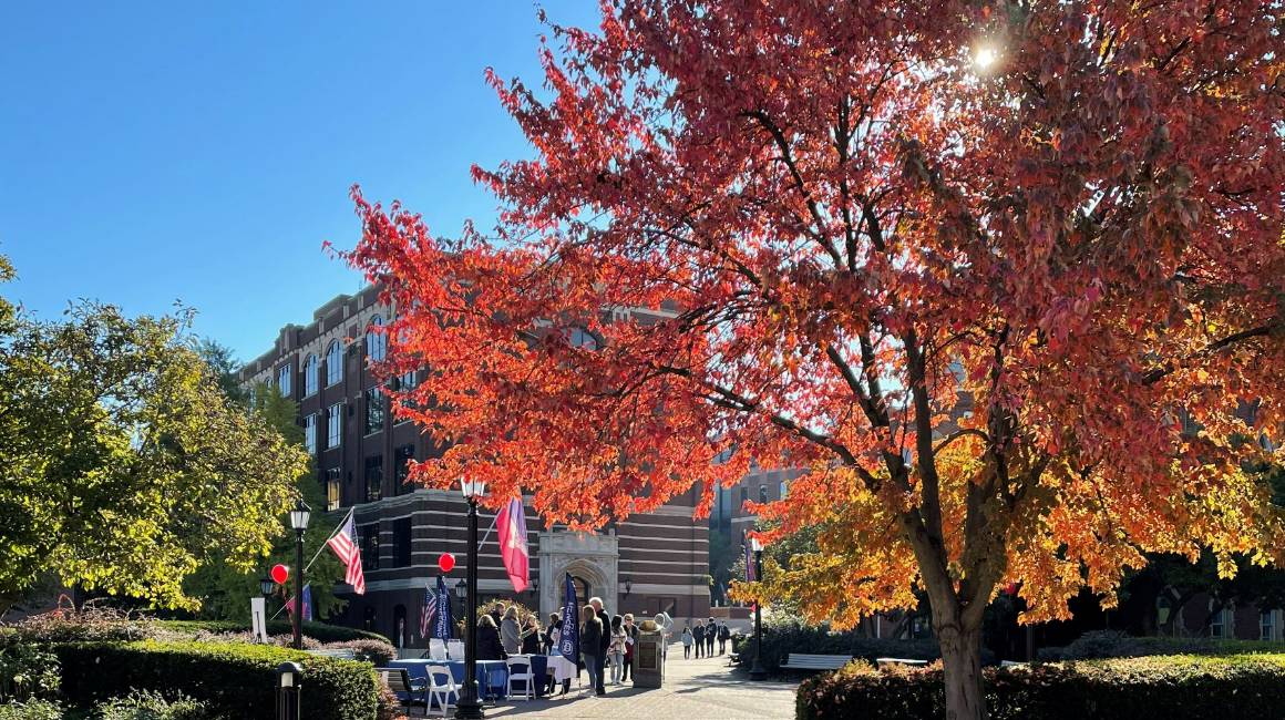 Sunny fall DUQ day