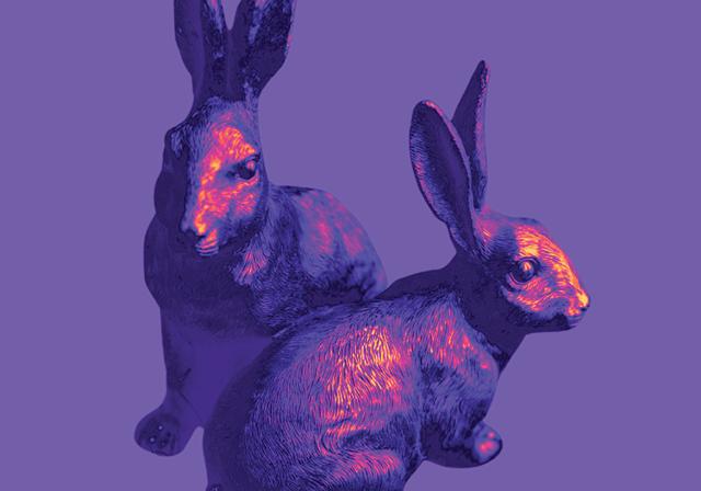 Two bunnies.