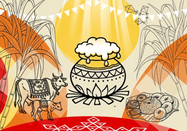 Pongal celebration design featuring cattle, wheat, a bubbling cauldron and Tamil harvest icons.