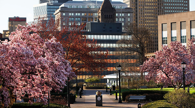 Spring flowering trees and downtown Pittsburgh