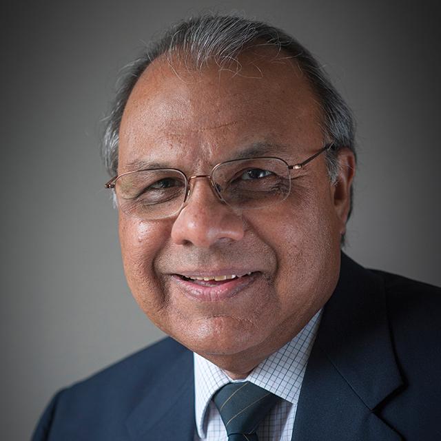Aleem Gangjee, Ph.D.
