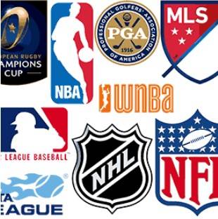 Collage of professional sports logos