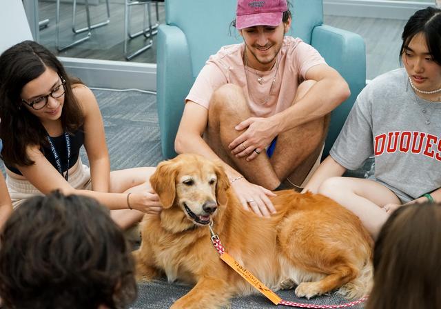 Duquesne students in the Gumberg Library petting a therapy dog.