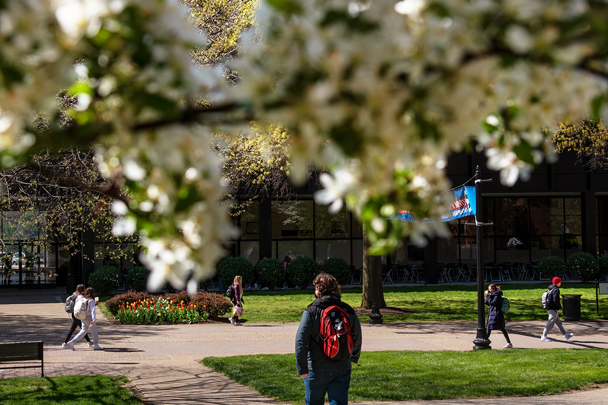 Academic Walk 