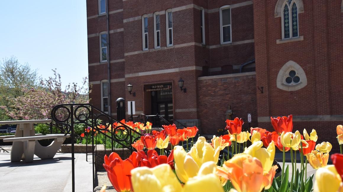 Flowers on campus