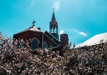 Campus in the Springtime