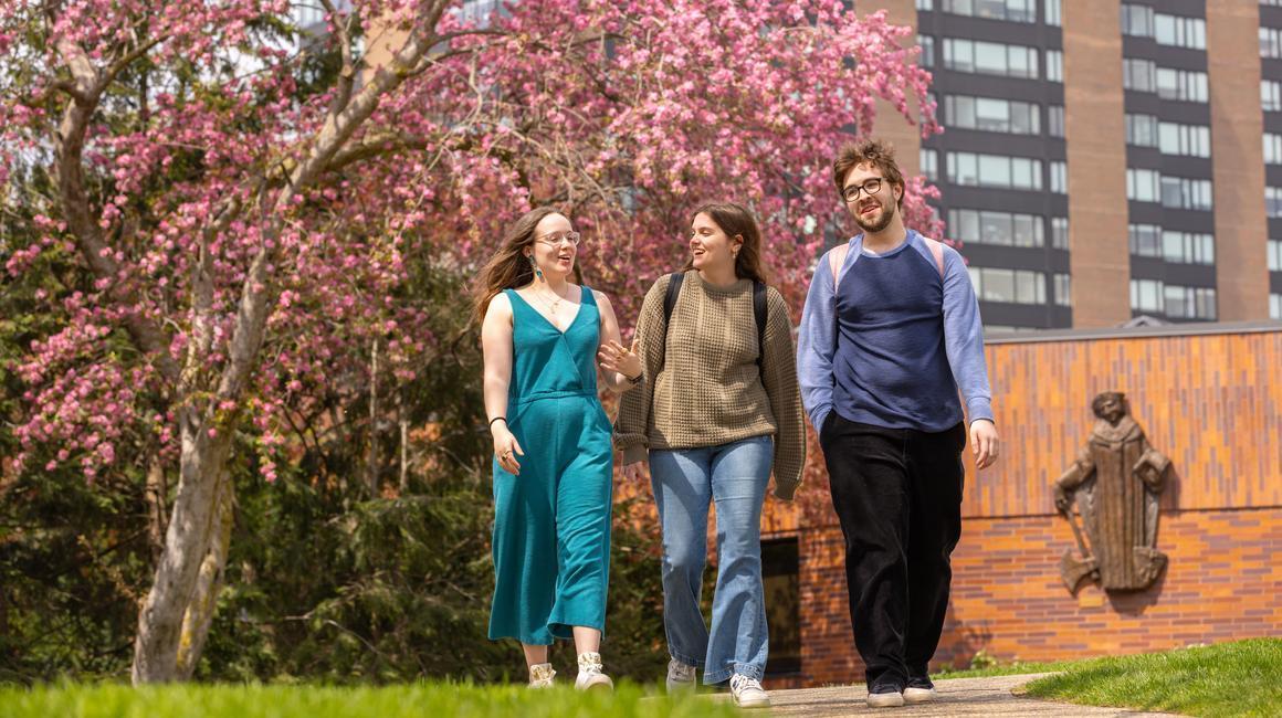 Students walking on campus near blossoming tree.