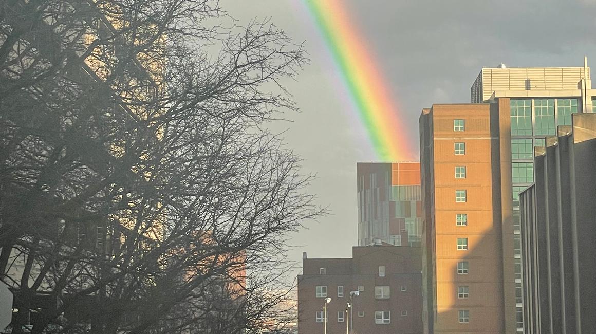 Duquesne Campus Rainbow