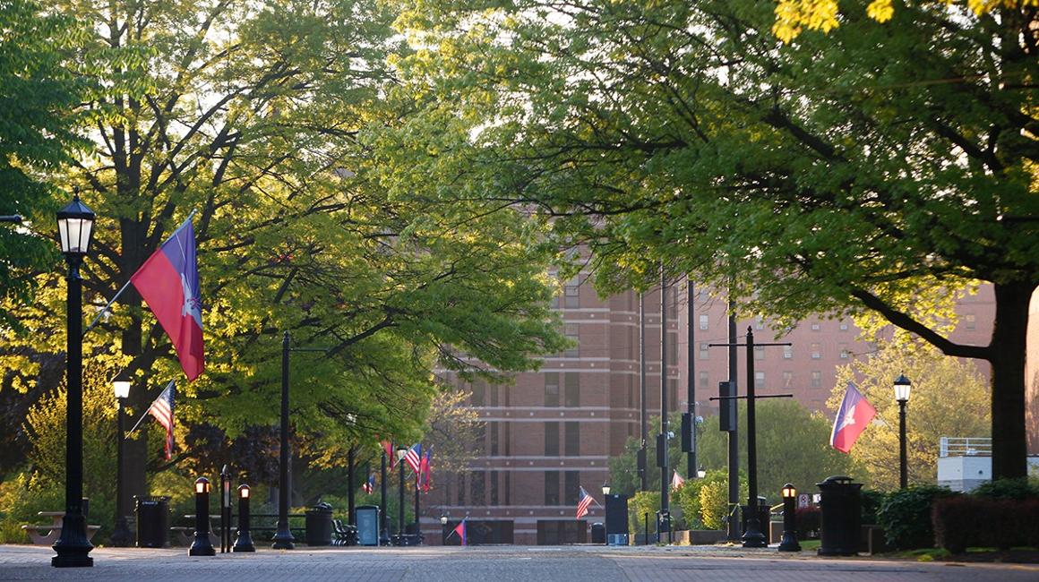 View of Academic Walk looking toward Duquesne residence halls