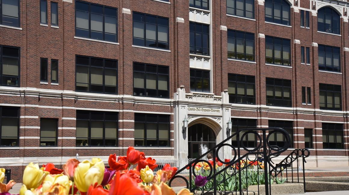Tulips in front of Canevin Hall