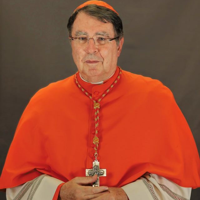 Cardinal Christophe