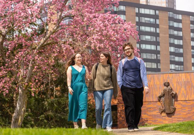 Students walking on campus near blossoming tree.