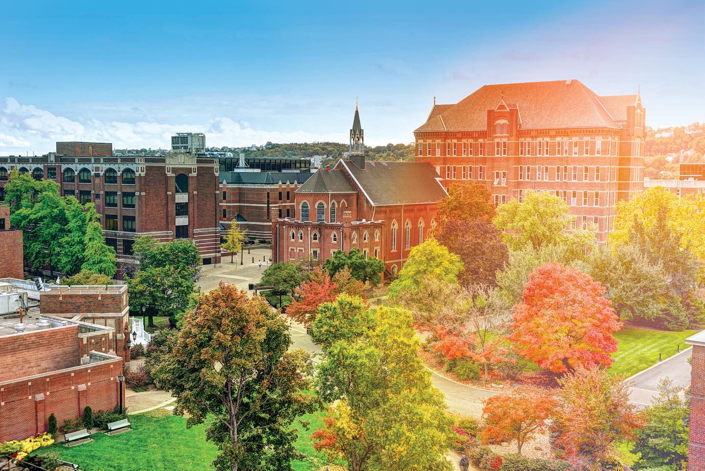 View of campus and trees